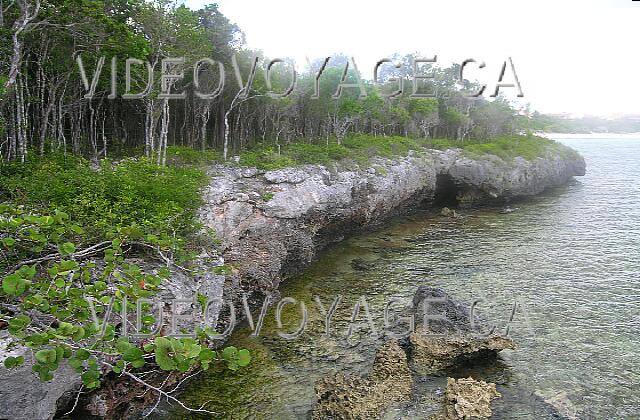 Cuba Guardalavaca Paradisus Rio de oro Des rochers escapé près du gazebo.