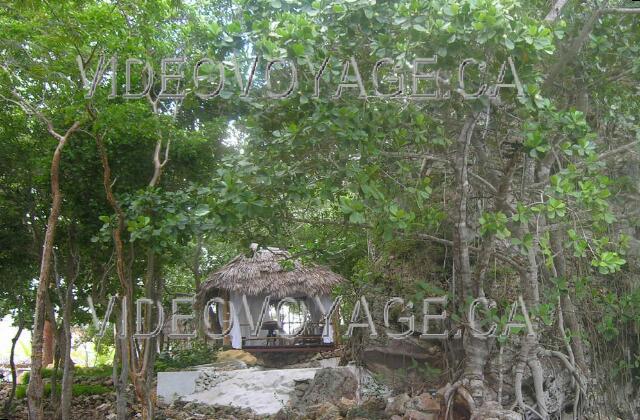 Cuba Guardalavaca Paradisus Rio de oro Un autre palapas près de la  piscine, entouré d'arbres et d'un immense rocher de plusieurs mètres de haut.