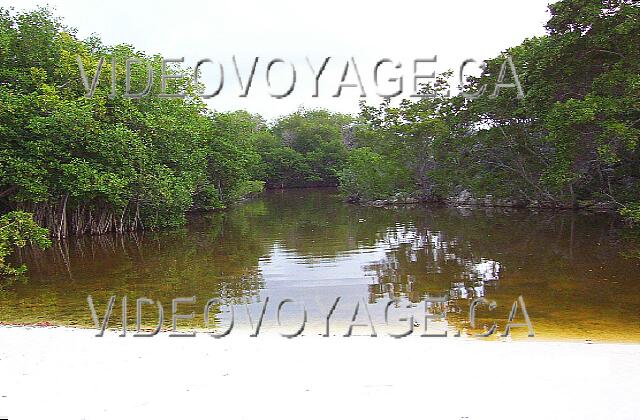 Cuba Guardalavaca Paradisus Rio de oro La lagune Rio de Oro sépare la plage du Paradisus avec les autres hôtels Sol Melia.