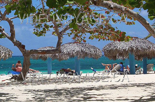 Cuba Guardalavaca Paradisus Rio de oro Les parasols  sur la plage. Il n'y a pas de palmiers le long de la plage.