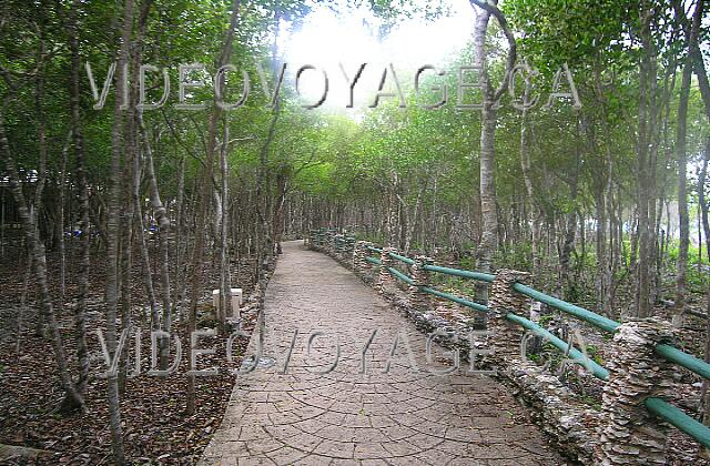 Cuba Guardalavaca Paradisus Rio de oro Along the site, a swamp on one side and the other side the sea with steep rocks. Here, the path along the rocks Escape.