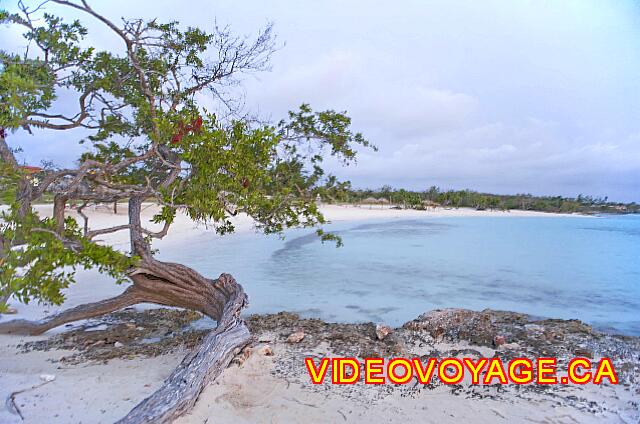 Cuba Guardalavaca Playa Pesquero La plage à l'ouest du site.  Depuis la dernière tempête, un fond de sable et peu d'algue, donc il est possible de s'y baigner maintenant.