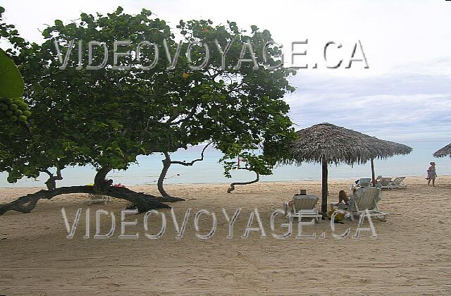 Cuba Guardalavaca Playa Pesquero Avec les arbres sur la plage, un très beau décors.