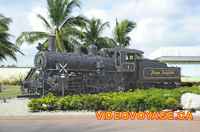 Cuba Guardalavaca Playa Pesquero A little loins an old steam locomotive.