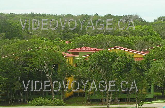 Cuba Guardalavaca Memories Holguin Beach Resort La abundante vegetación bloqueando la vista de varias habitaciones.