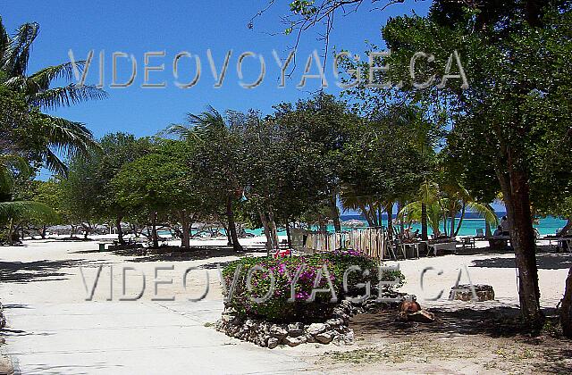 Cuba Guardalavaca Sol Rio De Luna Y Mares The path that ends up on the beach.