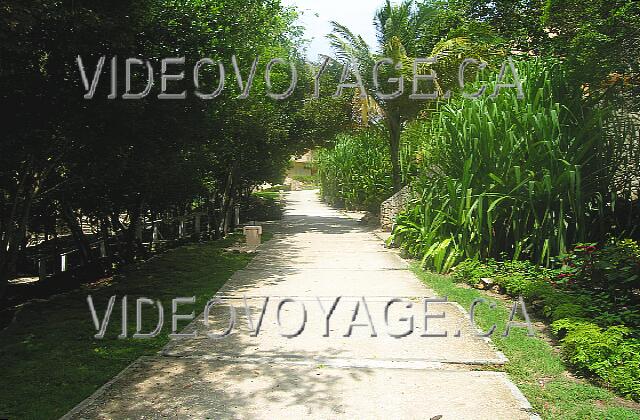 Cuba Guardalavaca Sol Rio De Luna Y Mares The path down to the beach.