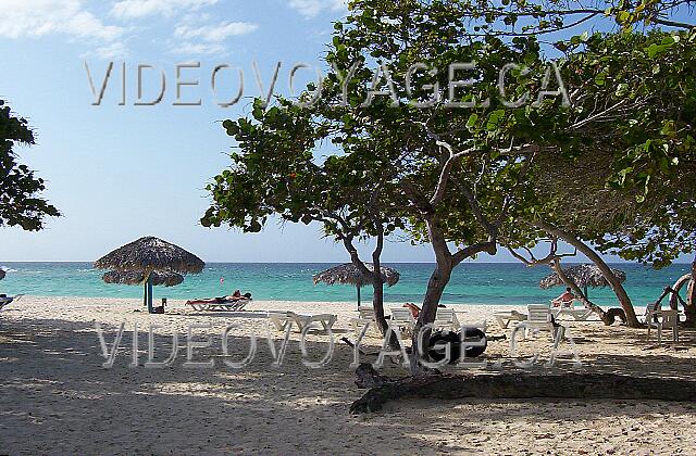 Cuba Guardalavaca Sol Rio De Luna Y Mares Una playa con muchos árboles en la playa. Lamentablemente no hay palmeras.