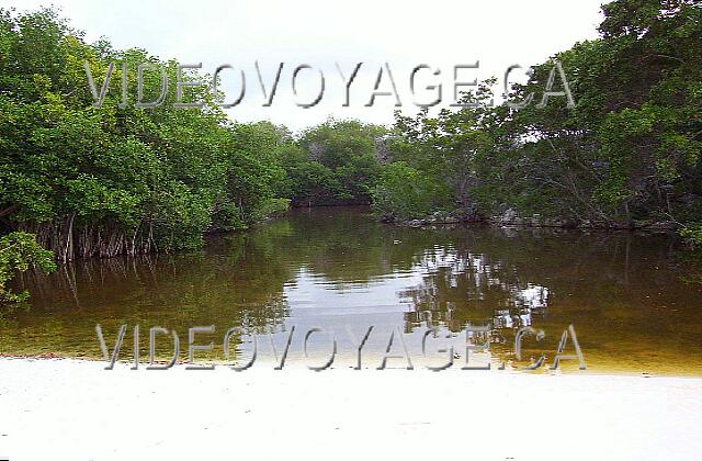 Cuba Guardalavaca Sol Rio De Luna Y Mares The Rio de Oro lagoon ends up on the beach. Left Paradisus.