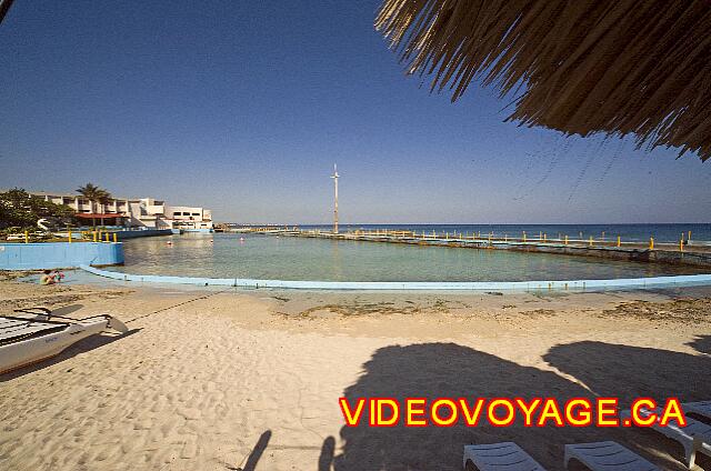cuba La Havane comodoro A simulated beach sand on the edge of a pond, a concrete curb between the pool and the beach.