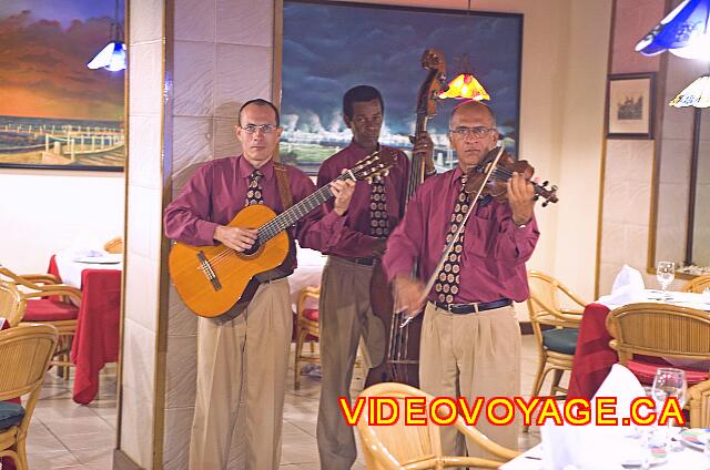 cuba La Havane comodoro Músicos de noche.