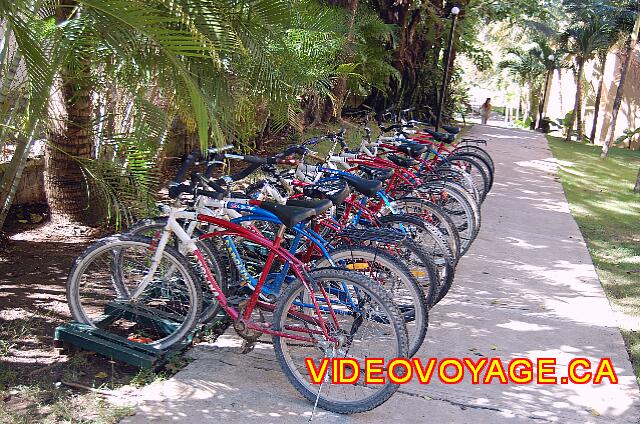 Republique Dominicaine Sosua Casa Marina Beach & Reef Muchas bicicletas en la sección de Casa Marina Reef.