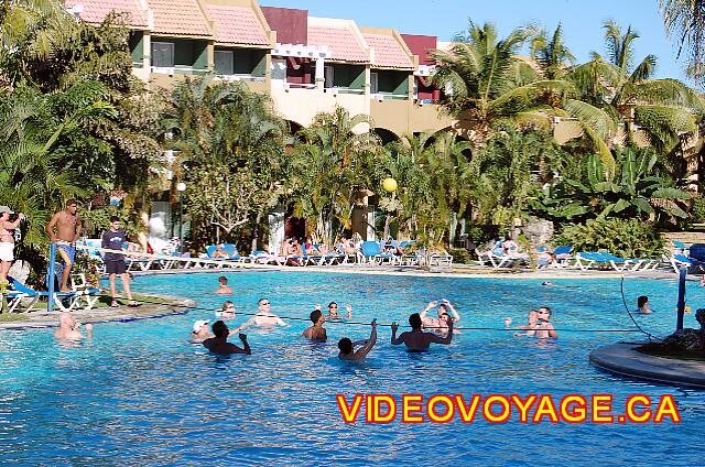 Republique Dominicaine Sosua Casa Marina Beach & Reef Volleyball in the pool