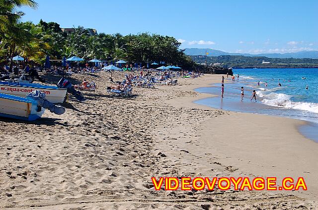 Republique Dominicaine Sosua Casa Marina Beach & Reef Un nombre insuffisant de chaise longue en haute saison.