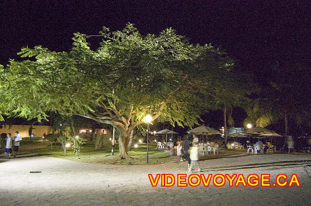 Republique Dominicaine Sosua Casa Marina Beach & Reef A tree under the lighting near the terrace on the edge of the sea.