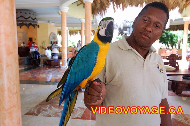 Republique Dominicaine Puerto Plata Iberostar Costa Dorada Un facilitador que camina constantemente en el campo con su amigo ...