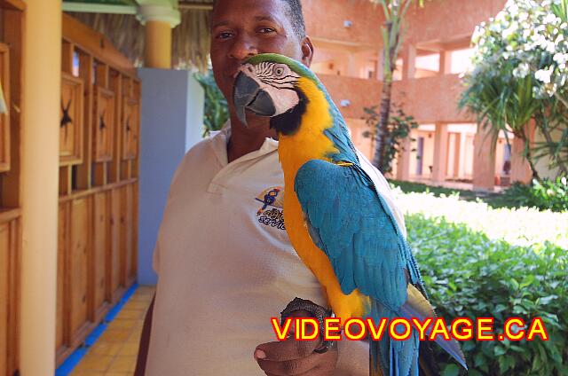 Republique Dominicaine Puerto Plata Iberostar Costa Dorada Otra vez.