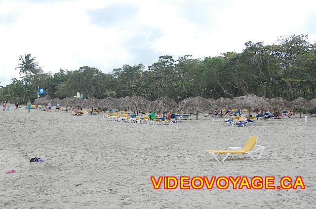 Republique Dominicaine Puerto Plata Iberostar Costa Dorada The umbrellas on the beach. Sun loungers covered with tissue.