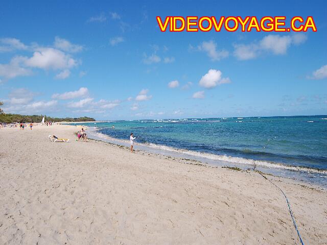 Republique Dominicaine Puerto Plata Iberostar Costa Dorada Part of the beach with algae which deposits.