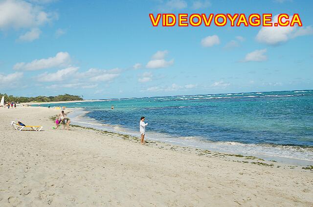 Republique Dominicaine Puerto Plata Iberostar Costa Dorada An area of ??75 meters with the algae at the entrance into the sea.