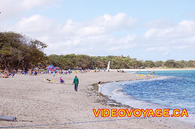 Republique Dominicaine Puerto Plata Iberostar Costa Dorada This is the only area with seaweed on the beach.