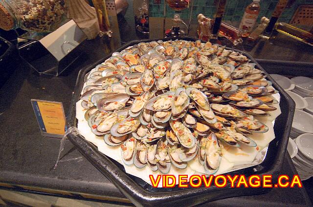 Republique Dominicaine Puerto Plata Iberostar Costa Dorada Fresh mussels