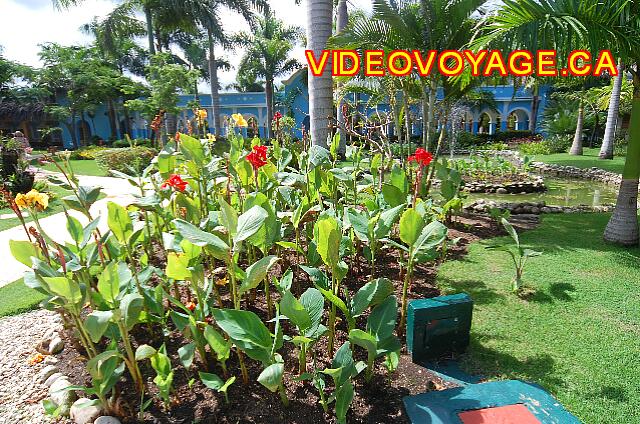 Republique Dominicaine Puerto Plata Iberostar Costa Dorada Vegetación abundante y agradable paisaje.