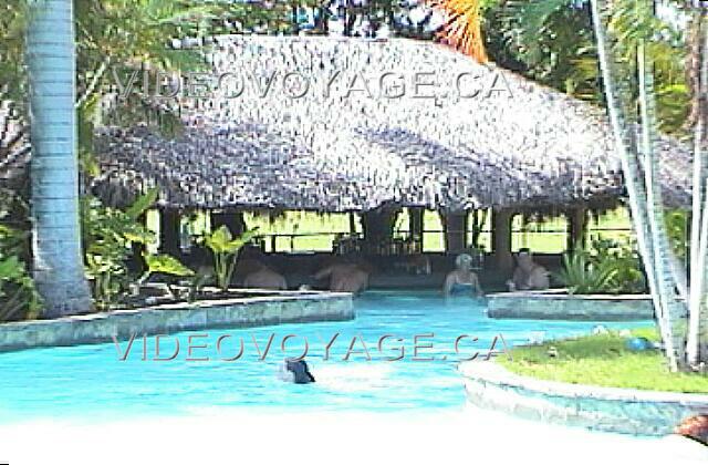 Republique Dominicaine Puerto Plata Holiday Village Golden Beach Le bar Azucar dans la piscine pour adulte.