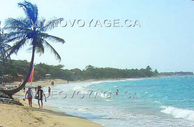 Republique Dominicaine Puerto Plata Holiday Village Golden Beach Palm trees on the edge of the sea are beautiful. There were a few years these palms loins of the sea. In loins, we can see a wide beach and a gentler slope to enter years the sea. We can discern little seaweed.