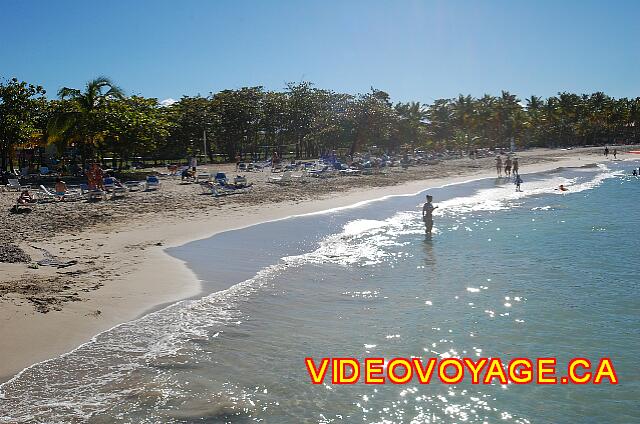 Republique Dominicaine Puerto Plata Grand Paradise Playa Dorada Esta vista aérea muestra gran parte de la playa del hotel de playa paraíso. Muchos nadadores a menudo se reúnen dentro de las paredes. Hay menos algas y la pendiente es más suave.