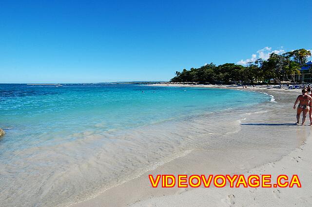 Republique Dominicaine Puerto Plata Grand Paradise Playa Dorada We can easily see the coral reef by waves at loins. Some sectors have a little more seaweed. The darker green color we can detected.