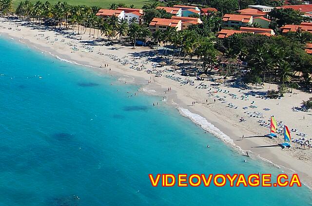 Republique Dominicaine Puerto Plata Celuisma Playa Dorada Así que las algas no molesta a los clientes.