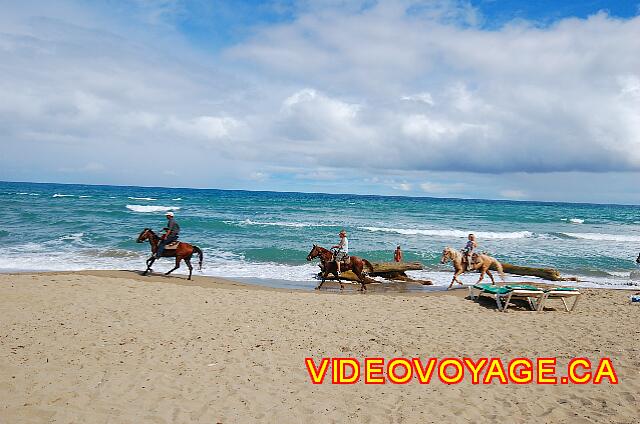 Republique Dominicaine Cabarete Celuisma Cabarete Horseback riding on the beach, an available but not included activity.