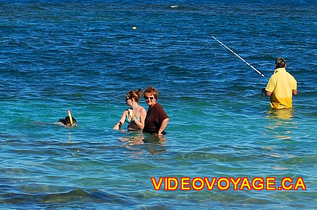 Republique Dominicaine Puerto Plata Gran Ventana El snorkeling y pesca.