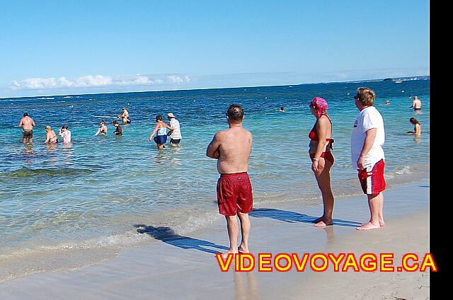 Republique Dominicaine Puerto Plata Gran Ventana Swimmers who discovered a strange fish ...