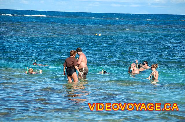 Republique Dominicaine Puerto Plata Gran Ventana Many snorkeling enthusiasts