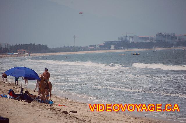 Mexique Bucerias Royal Decameron Vallarta Il est possible de faire de l'équitation sur la plage, mais cela n'est pas inclus.