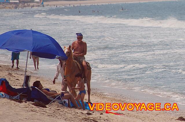 Mexique Bucerias Royal Decameron Vallarta Il n'y a qu'un seul cheval.