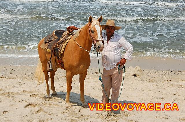 Mexique Bucerias Royal Decameron Vallarta Le monsieur offre le service depuis plusieurs années.