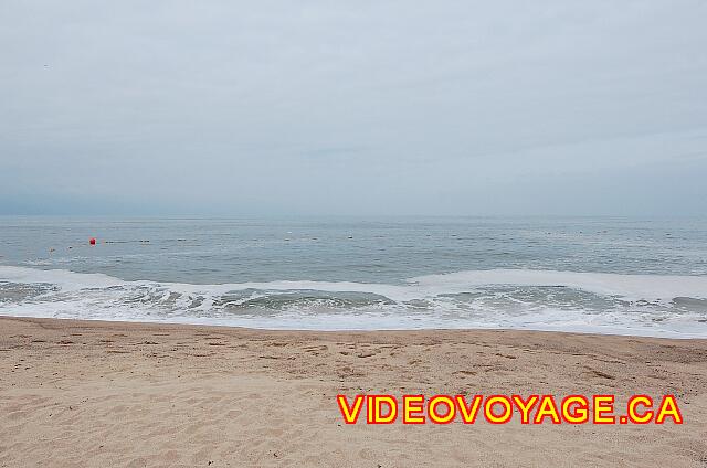 Mexique Puerto Vallarta Friendly Hola Vallarta Poor water quality in town, a brown foam on top of the sea may form in summer.