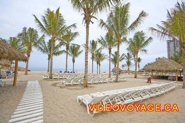 Mexique Puerto Vallarta Friendly Hola Vallarta Many chairs but no palapas. A few palm trees planted there a few years ago on the beach, but do not provide enough to create shade.