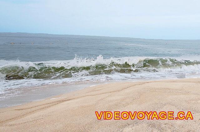 Mexique Puerto Vallarta Friendly Hola Vallarta The waves are moderate to high intensity. Here in the hotel, by including in the sea made by the hotel, there is normally a sand ffond in the sea, while several hotels in town it's a stone background.