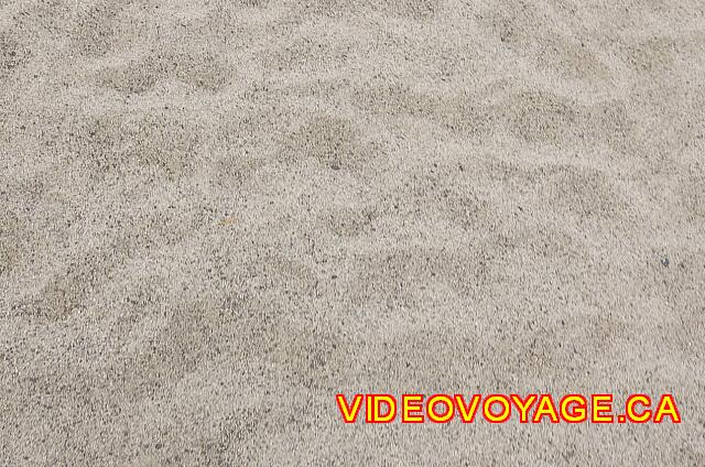 Mexique Puerto Vallarta Friendly Hola Vallarta Medium size sand.