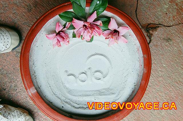 Mexique Puerto Vallarta Friendly Hola Vallarta The hotel's initials in the ashtrays outside.