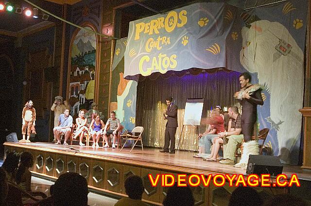 Mexique Nuevo Vallarta Riu Jalisco Perros contra gatos ...