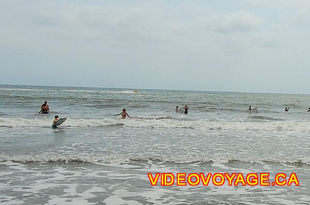 Mexique Nuevo Vallarta Riu Vallarta La mer est assez sécuritaire en temps normal. Il y a un peu de poisson qui se promènent près  du bord.