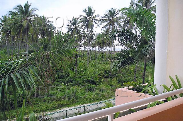 Republique Dominicaine Punta Cana Gran Bahia Principe Rooms with a view out to the site can see a dense forest.