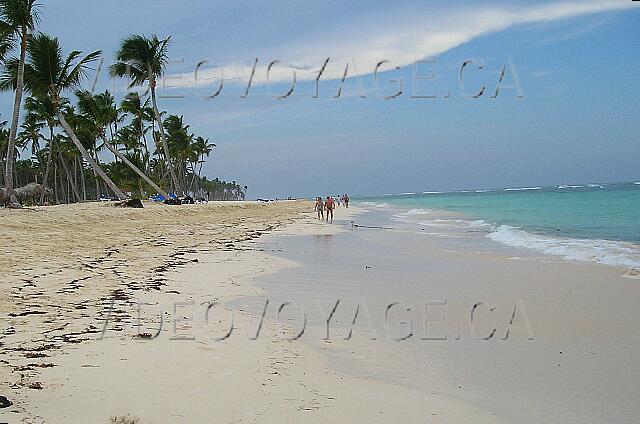 Republique Dominicaine Punta Cana Gran Bahia Principe En direction nord. Un peu de dépôt d'algue sur la plage.