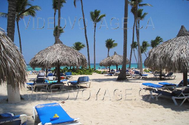 Republique Dominicaine Punta Cana Gran Bahia Principe Sun loungers covered with tissue.