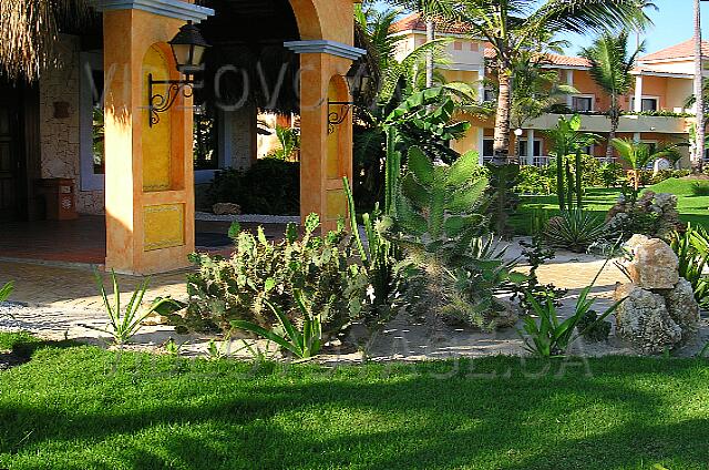 Republique Dominicaine Punta Cana Gran Bahia Principe A l'entrée des cactus.